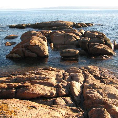 Вилла Pebble Shack Коулс-Бей Экстерьер фото