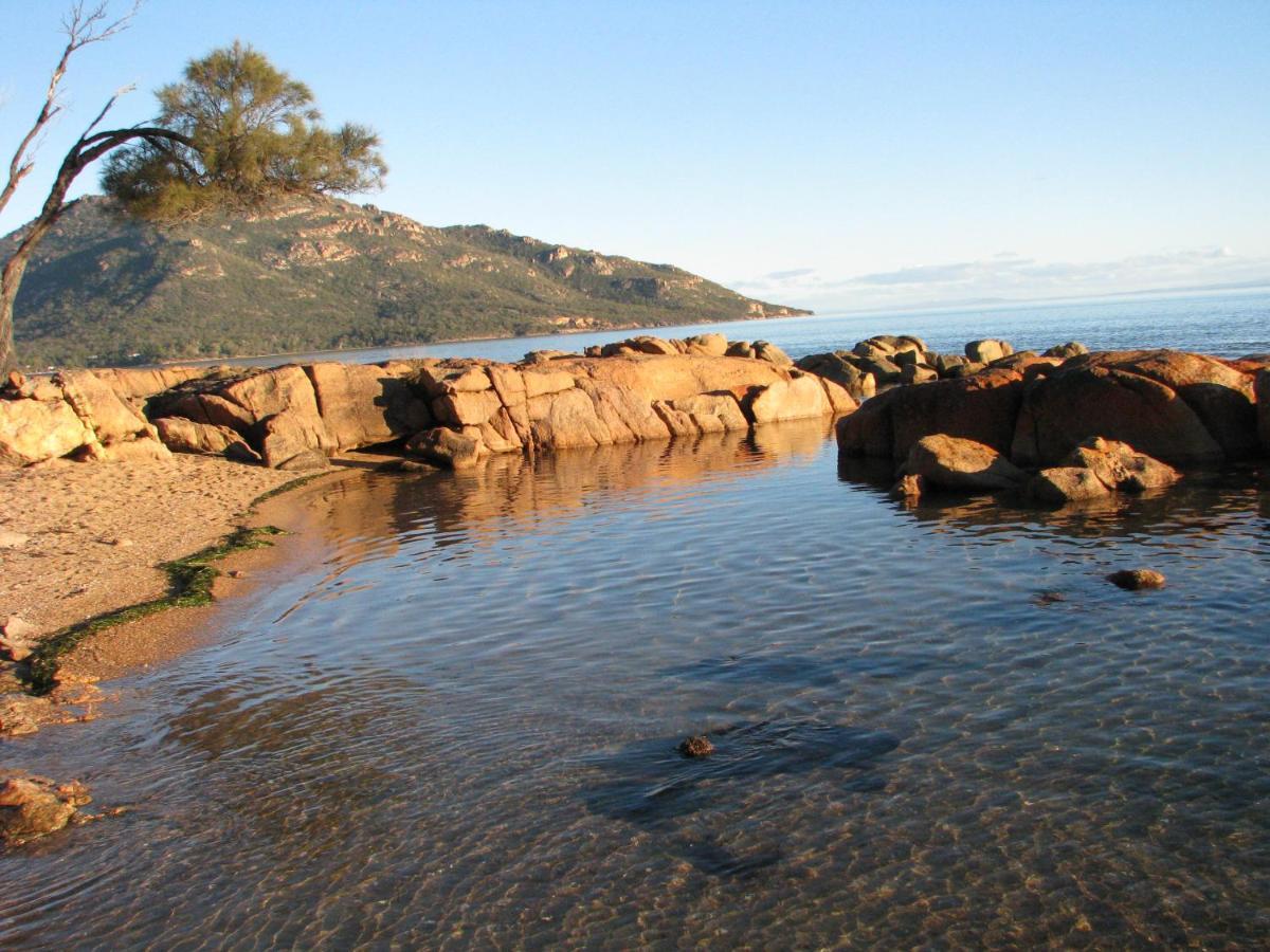 Вилла Pebble Shack Коулс-Бей Экстерьер фото